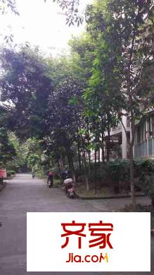 香林華府外景圖 
