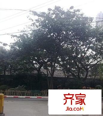 康定大廈