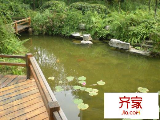 香林華府外景圖1
