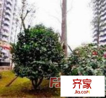 大順商廈外景圖