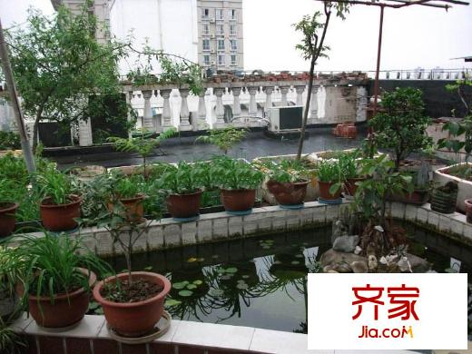 大順商廈外景圖