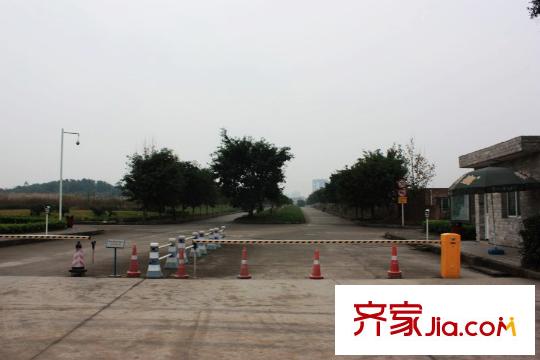 隆鑫花漾匯周邊學校