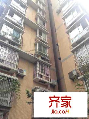 科強錦龍園外景圖 