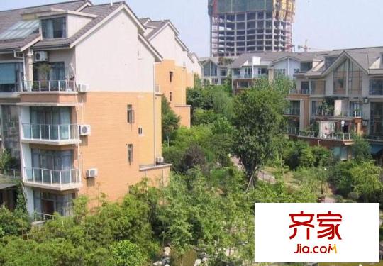 楓林秀水外景圖