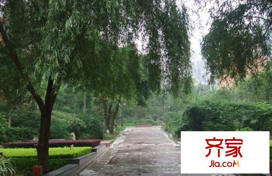楓林秀水外景圖