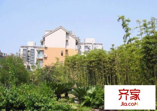 楓林秀水外景圖