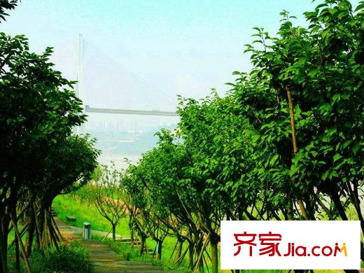 融匯半島香山美墅配套圖項(xiàng)目周邊巴濱路