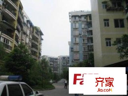 典雅森林花園外景圖小區(qū)相關(guān)圖_8