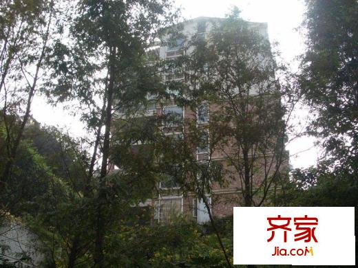 大川水岸外景圖小區(qū)相關(guān)圖_4