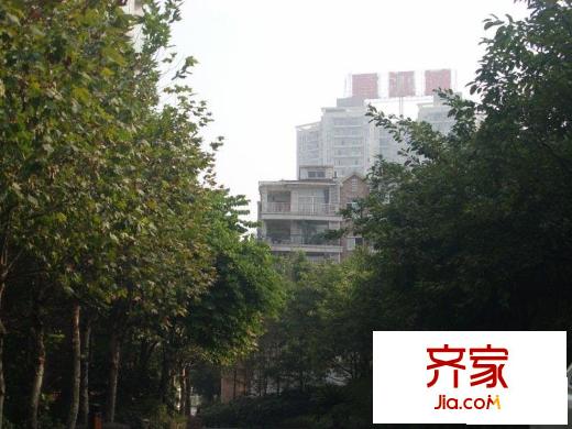 大川水岸外景圖小區(qū)相關(guān)圖_7