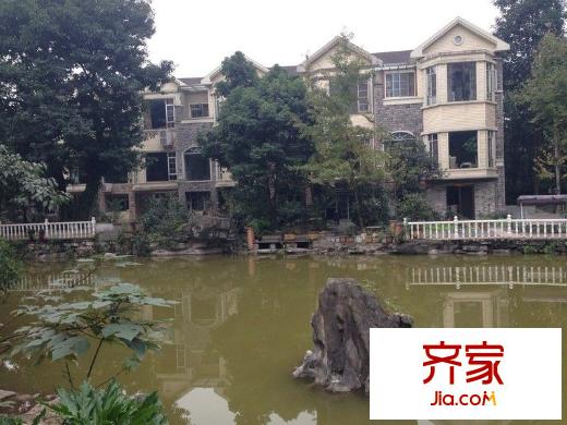 大川水岸外景圖別墅 