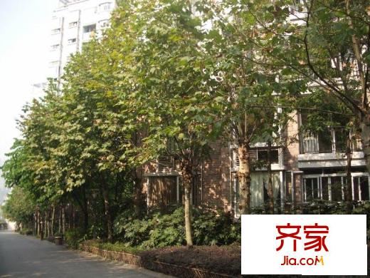 大川水岸外景圖小區(qū)相關(guān)圖_5