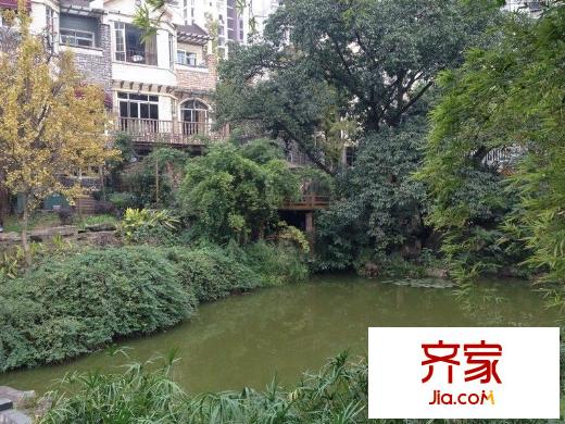 大川水岸外景圖別墅 