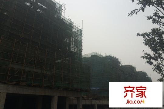 曦圓青崗灣項(xiàng)目工期進(jìn)度圖（2015-12）