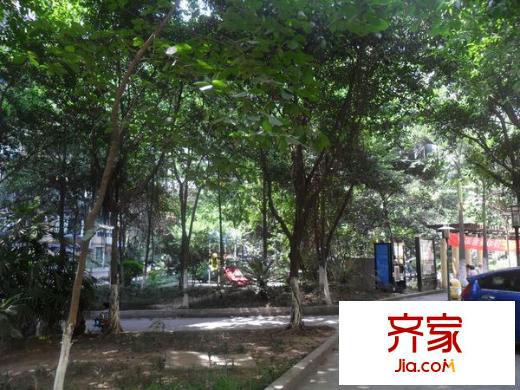小天鵝花園外景圖 
