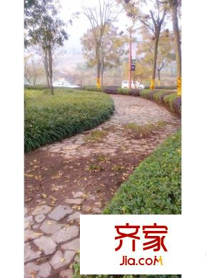 慶隆南山高爾夫國際社區(qū)璽館小區(qū)道路實景(2013.12.27)