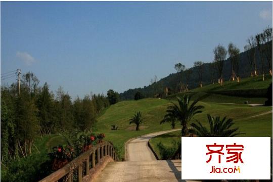 遠洋高爾夫國際社區(qū)果嶺洋樓實景圖項目小區(qū)綠化（2015.07）