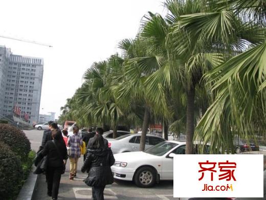 百康年奧運(yùn)光年外景圖百康年OT空間 