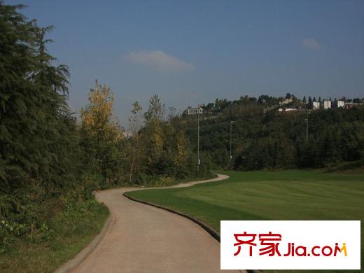 遠洋高爾夫國際社區(qū)果嶺洋樓配套圖社區(qū)內(nèi)高爾夫球場