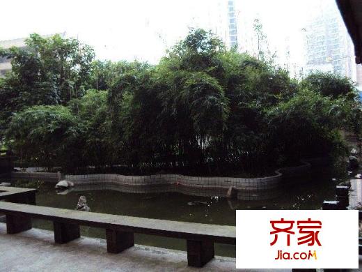 天緣居外景圖小區(qū)相關(guān)圖_3