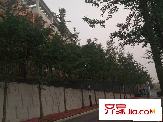 尚格博園周邊林蔭道