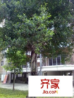 和諧苑外景圖