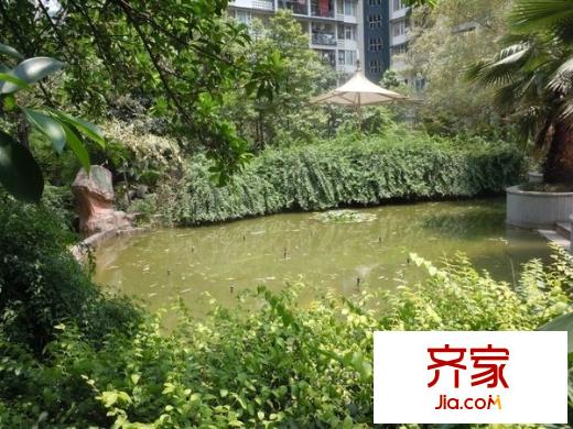 巴渝佳夢外景圖 