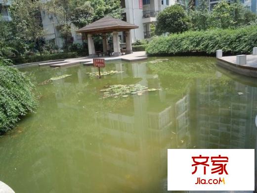 巴渝佳夢外景圖 