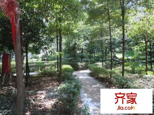 巴渝佳夢外景圖 