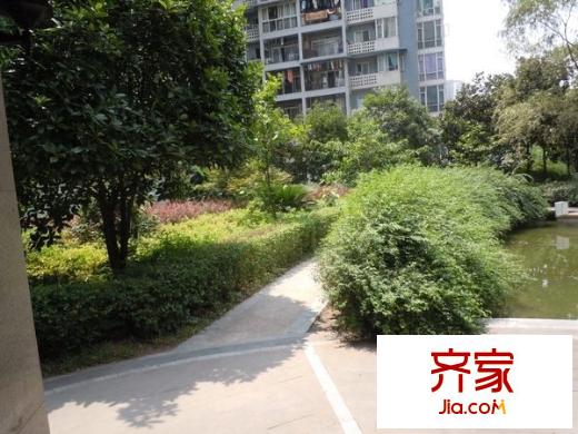 巴渝佳夢外景圖 
