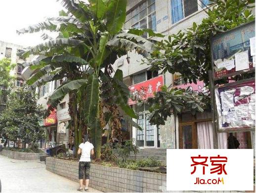 奧林嬌子外景圖