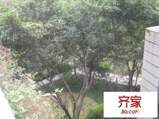 銀座花苑外景圖