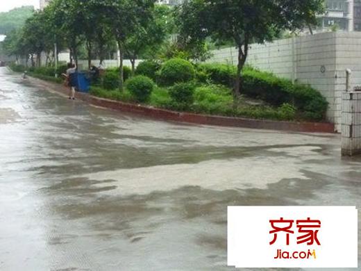 大竹林金竹苑外景圖 