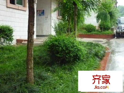 大竹林金竹苑外景圖 