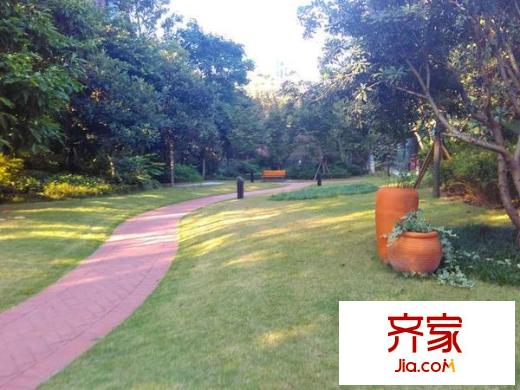 中維都市美鄰?fù)饩皥D 