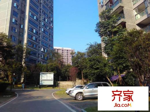 中維都市美鄰?fù)饩皥D 