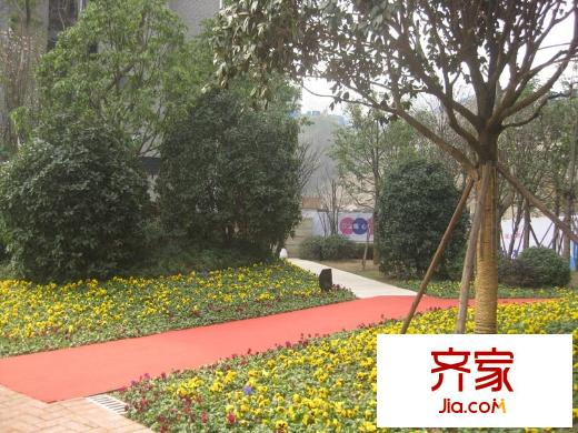 中維都市美鄰?fù)饩皥D小區(qū)綠化實(shí)景圖（2013-02）