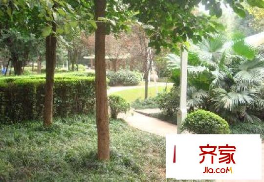 龍湖楓香庭外景圖11