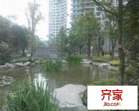 九里香堤外景圖7
