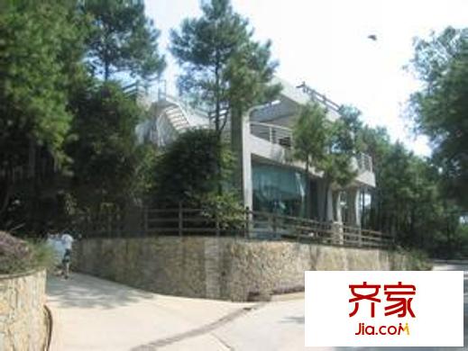 九里香堤外景圖 