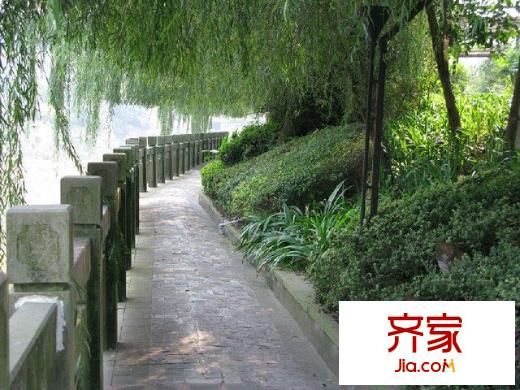 九里香堤外景圖 