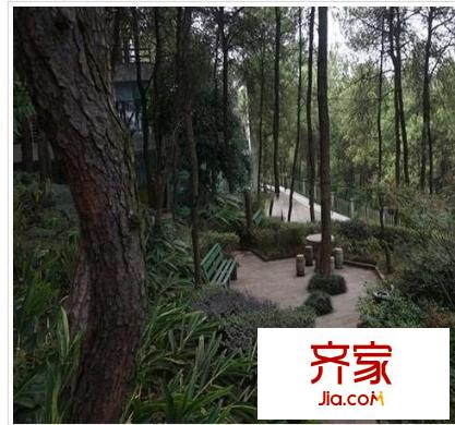 九里香堤外景圖 