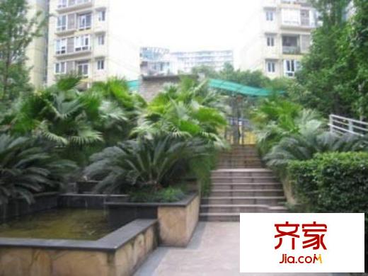 九里香堤外景圖 