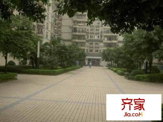 九里香堤外景圖6