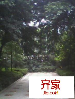石小路小區(qū)外景圖2