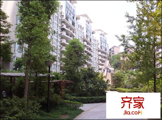 海棠曉月海雅居外景圖
