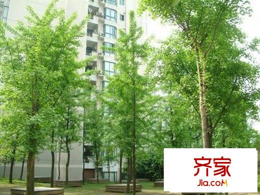 海棠曉月海雅居外景圖