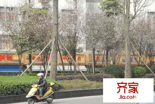 蔚藍(lán)時(shí)光二期格外外景圖