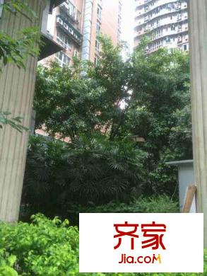 天澤苑外景圖 
