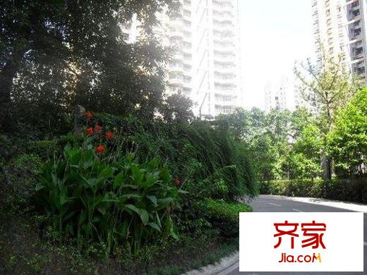 金輝融僑半島云滿庭D區(qū)外景圖